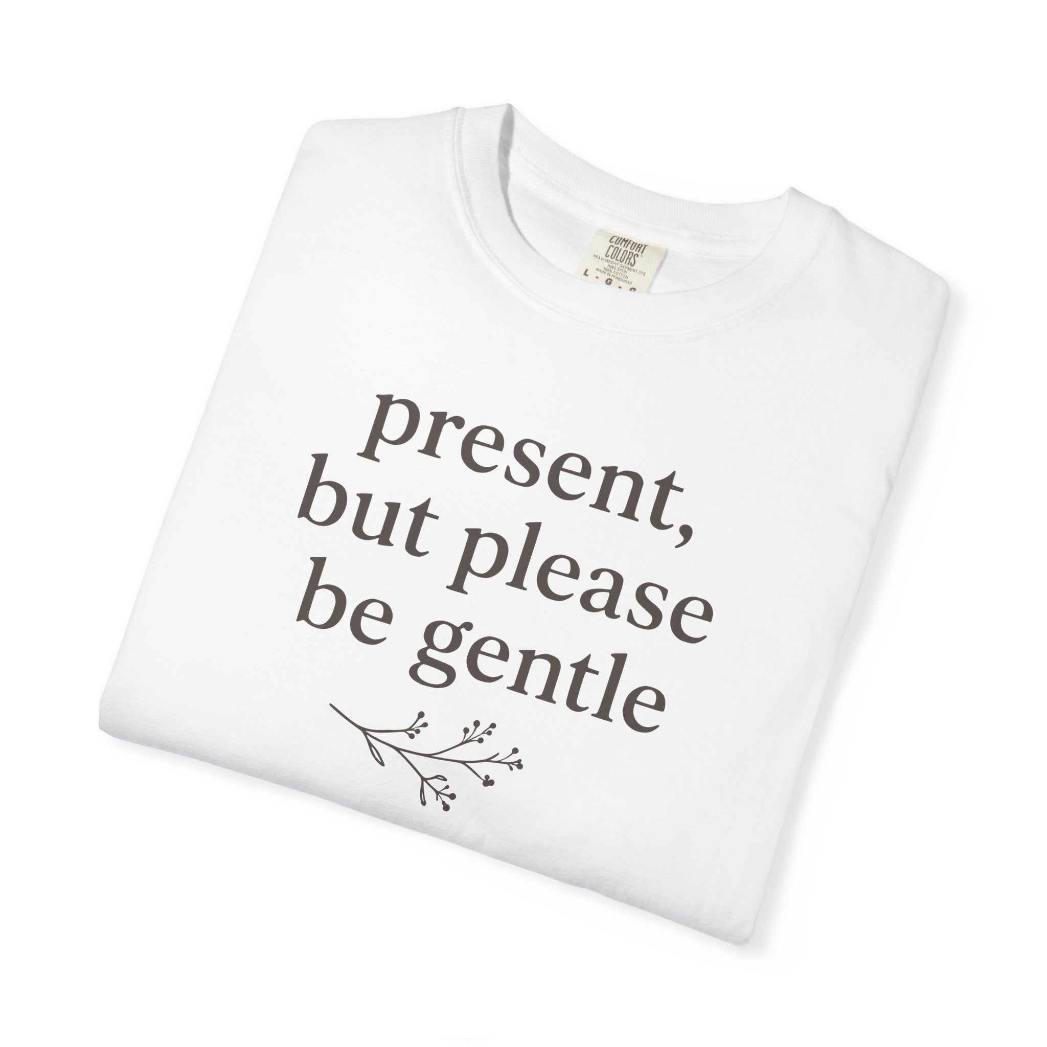 Present But Please Be Gentle T-shirt