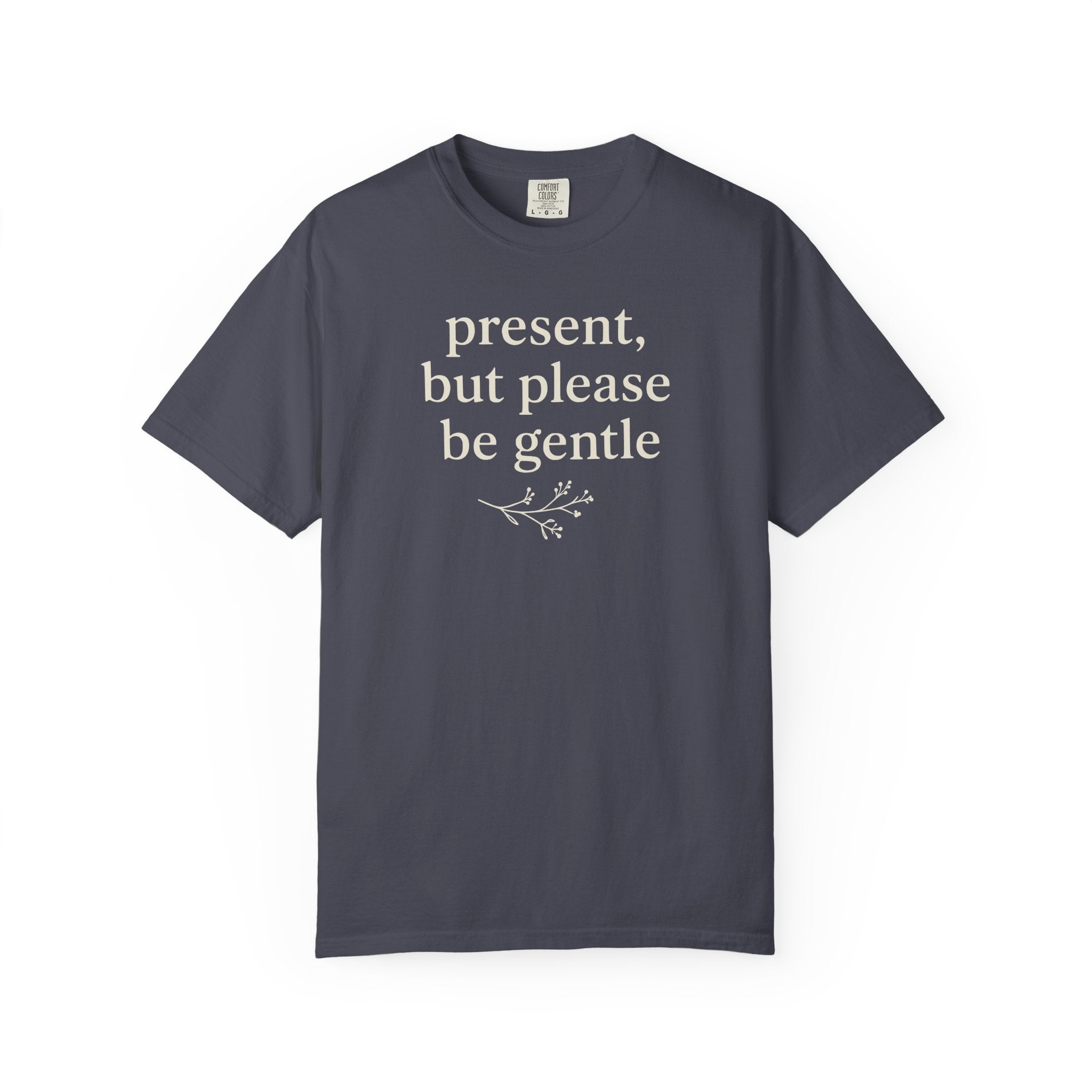Present But Please Be Gentle T-shirt