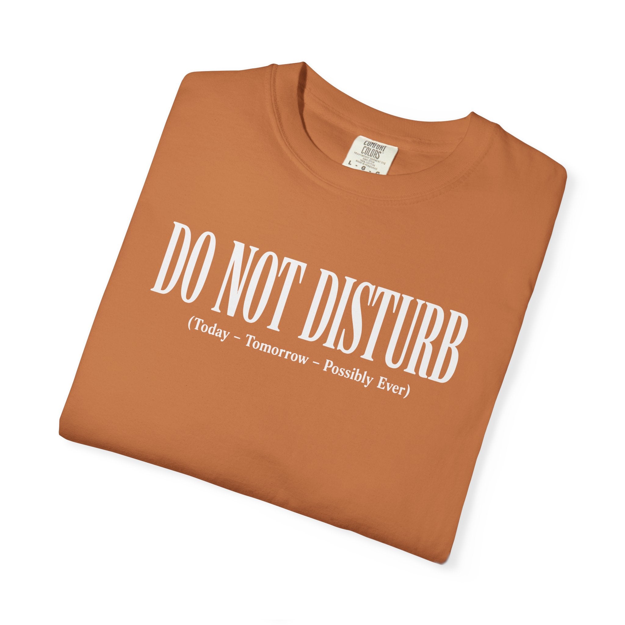 Do Not Disturb T-shirt