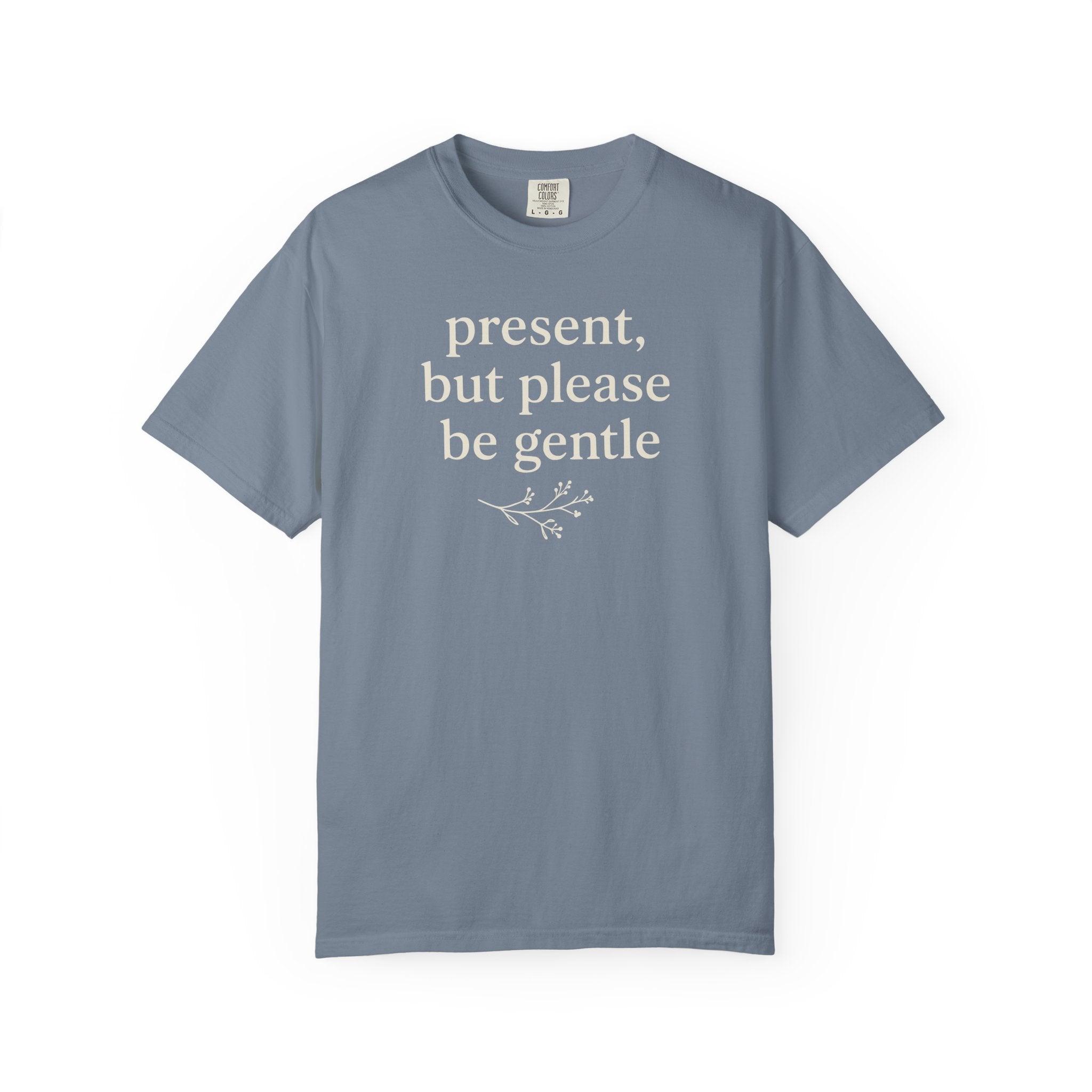 Present But Please Be Gentle T-shirt