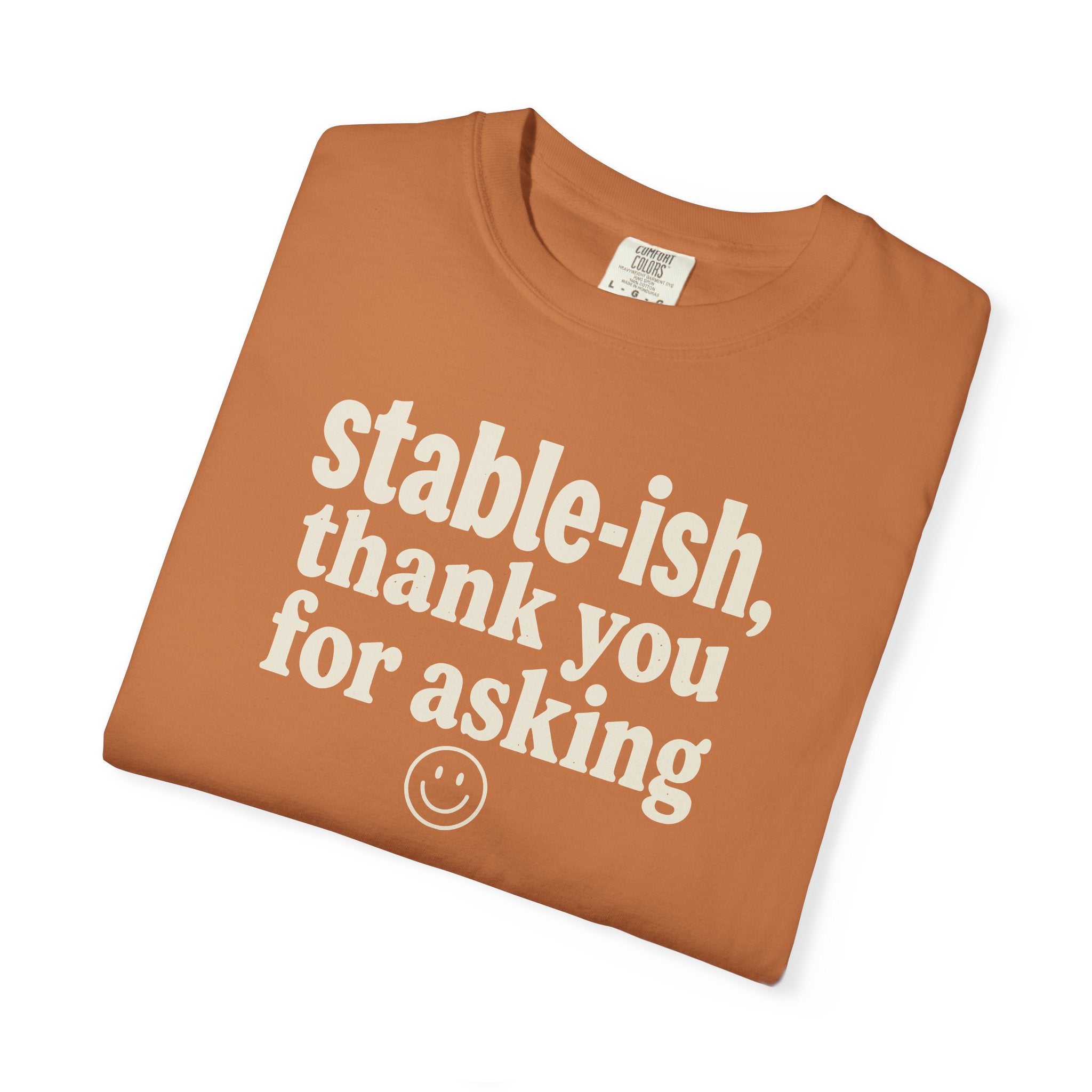 Stable-ish Thank You For Asking T-shirt