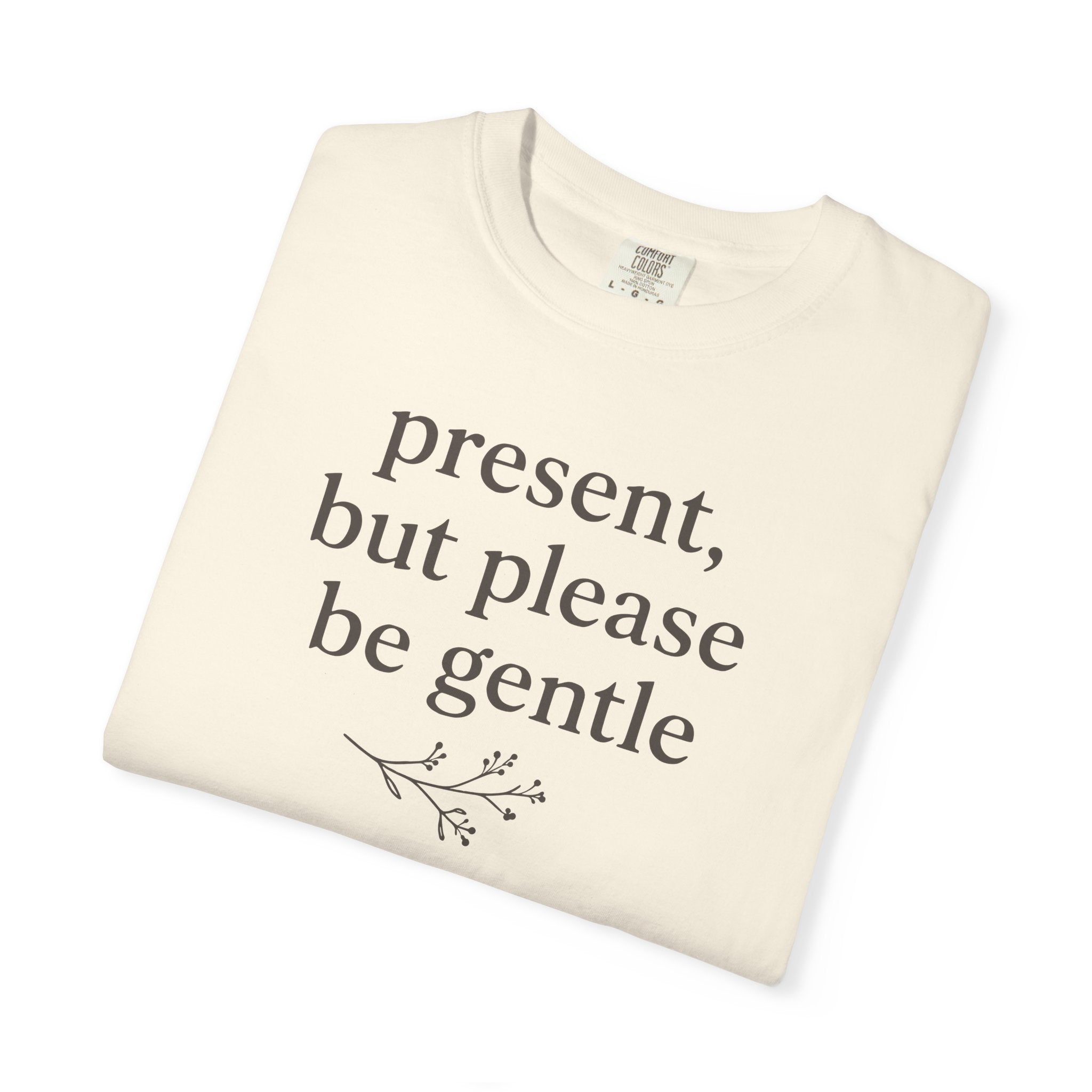 Present But Please Be Gentle T-shirt