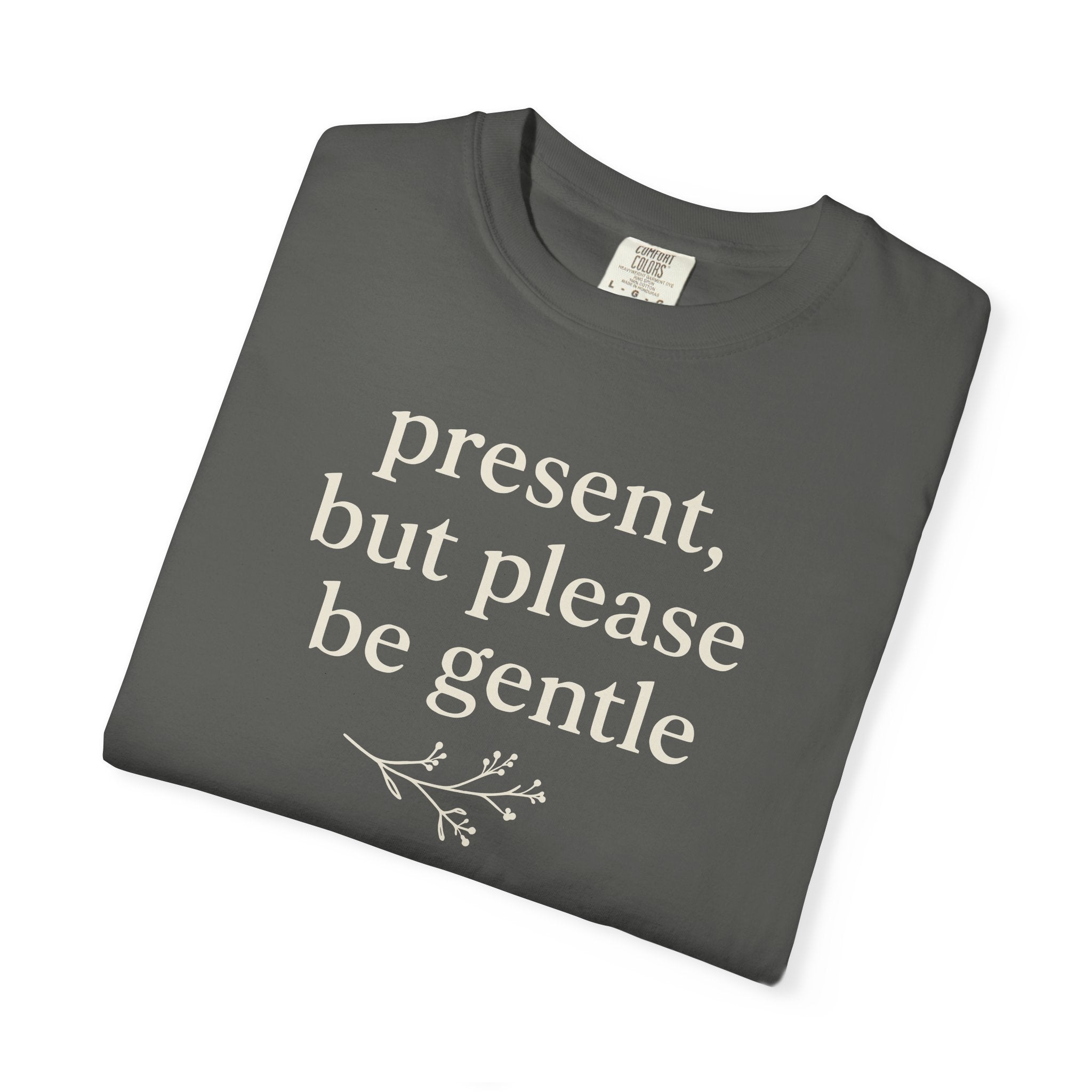 Present But Please Be Gentle T-shirt