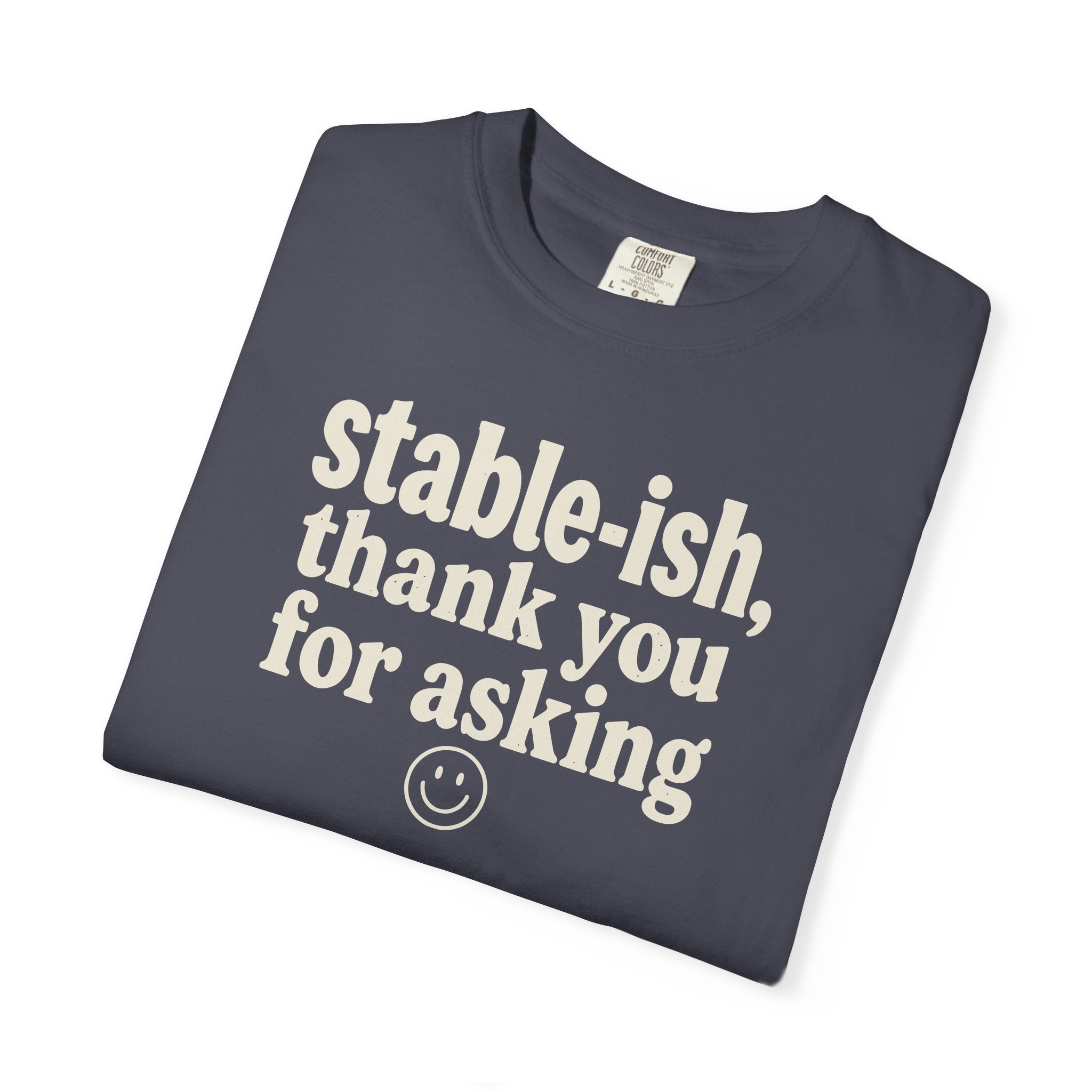 Stable-ish Thank You For Asking T-shirt