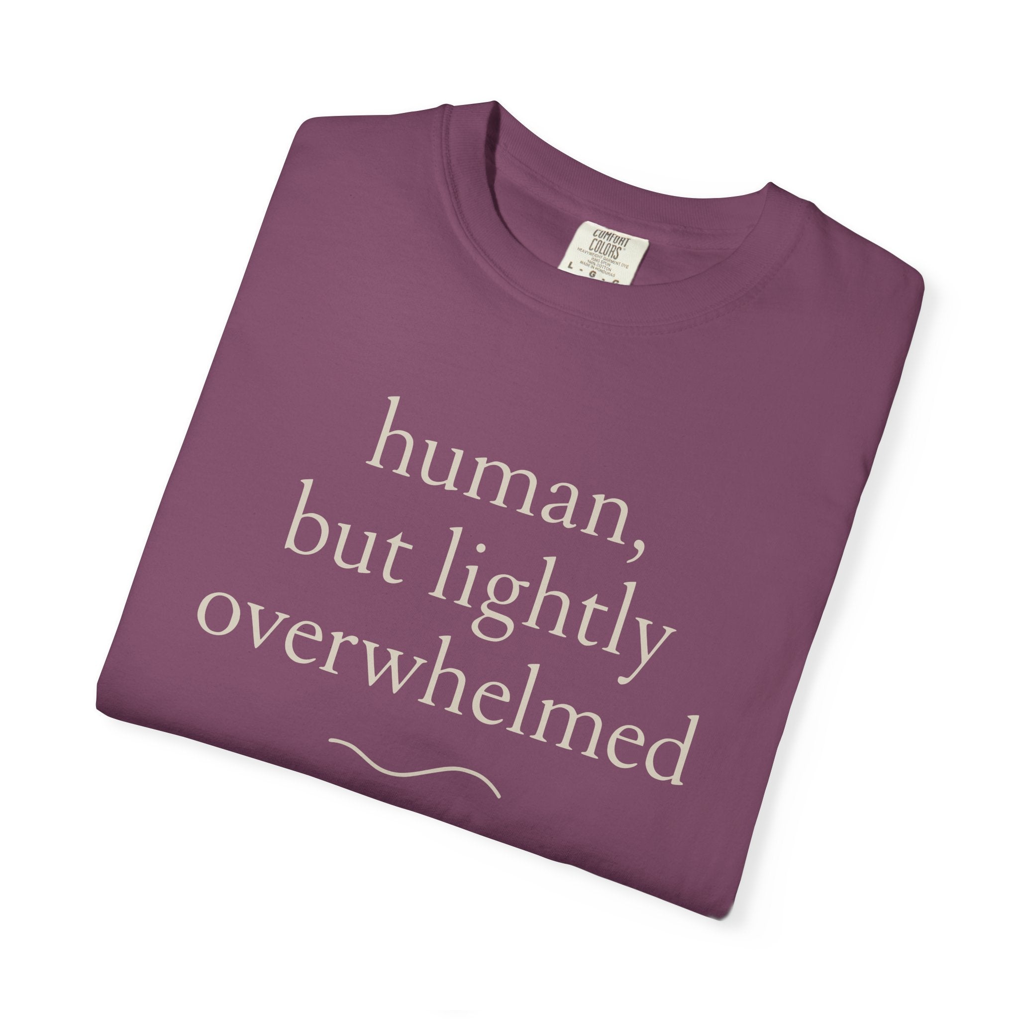 Human But Lightly Overwhelmed T-shirt