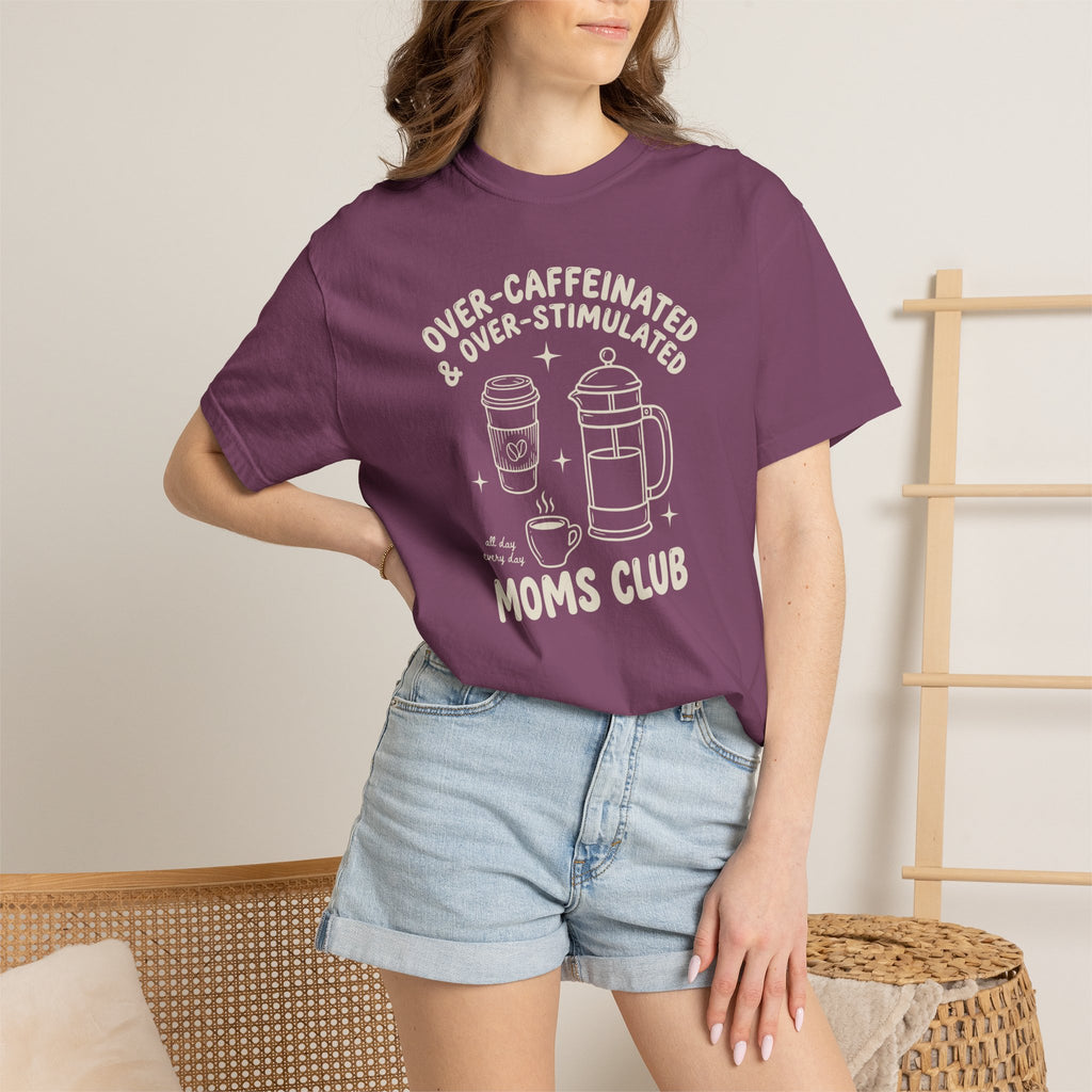 Emotionally Regulated-ish Club T-shirt