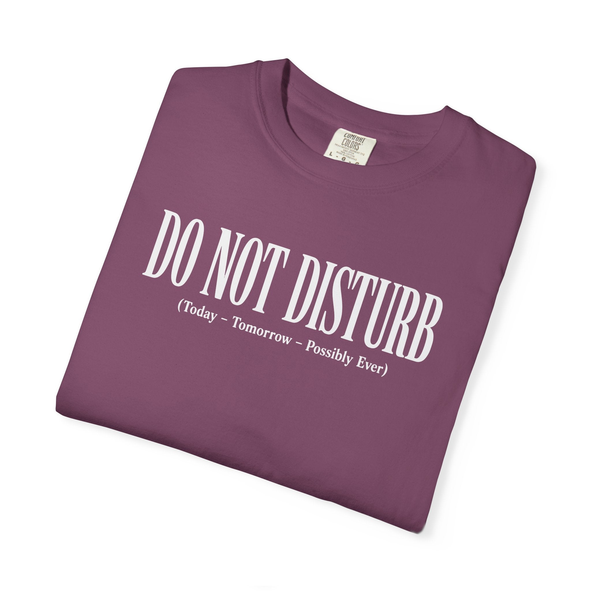 Do Not Disturb T-shirt