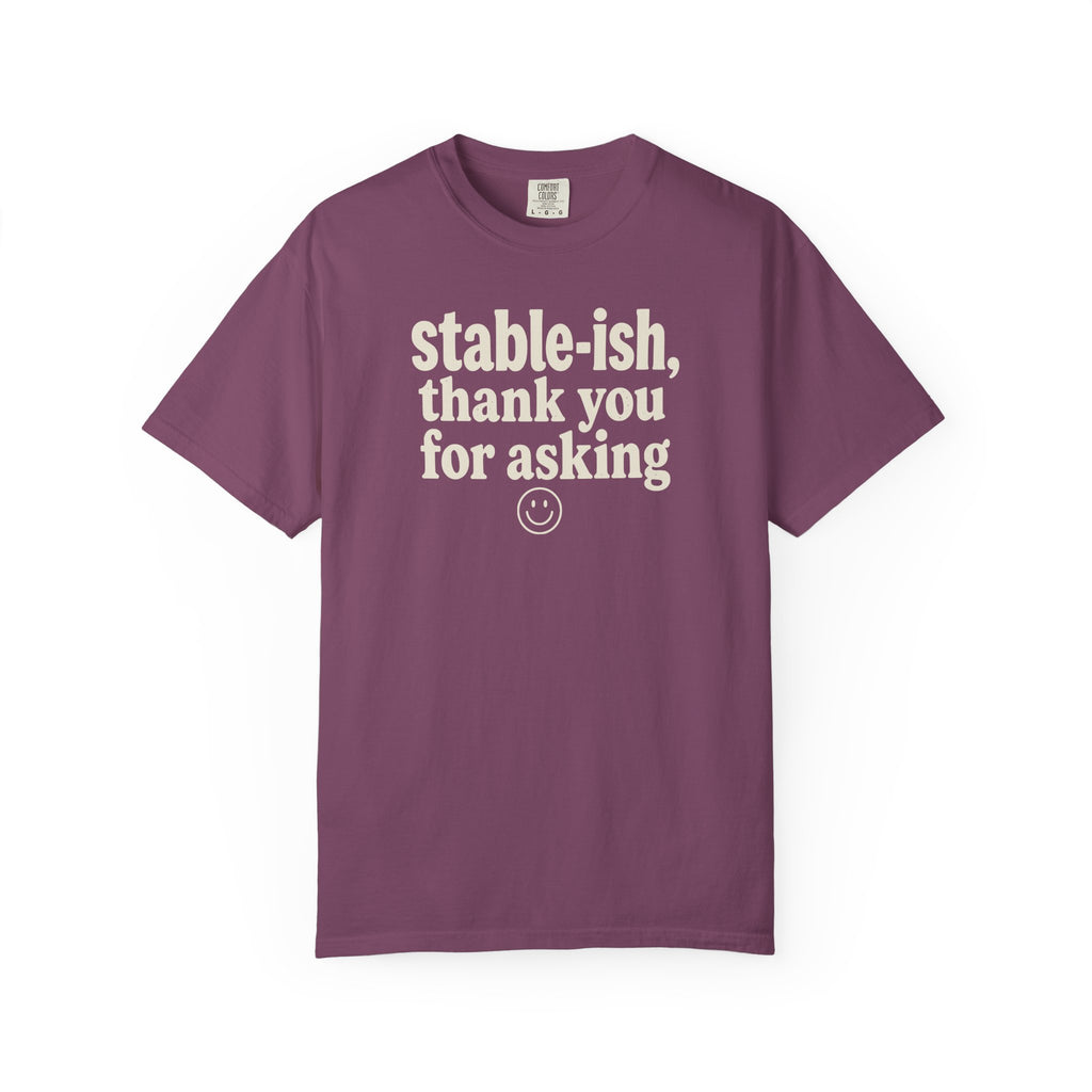 Stable-ish Thank You For Asking T-shirt