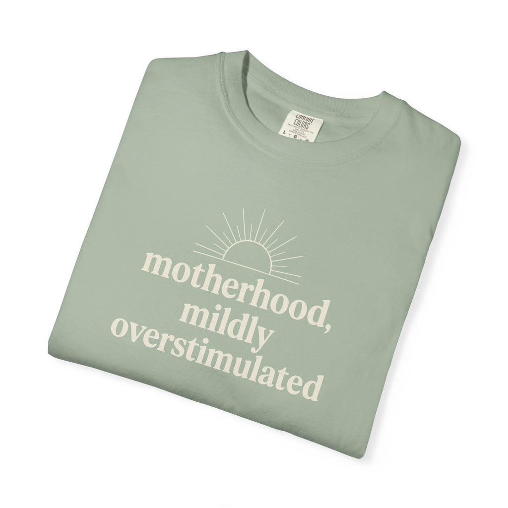 Motherhood Mildly Overstimulated T-shirt