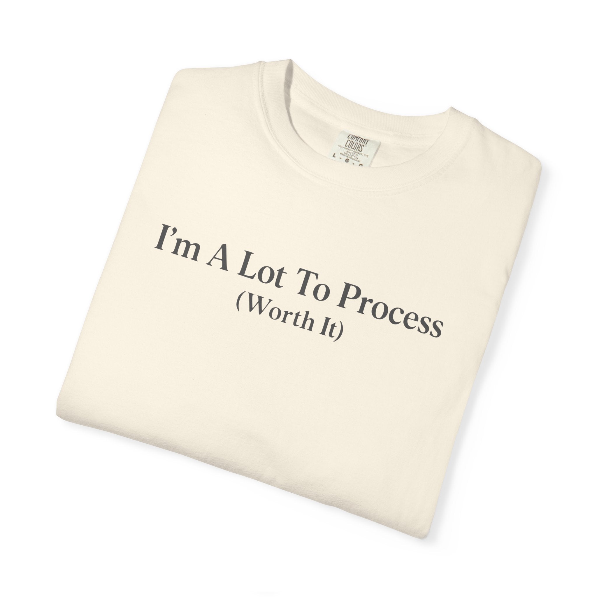 I'm A Lot To Process T-shirt